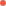 +1 425 389 7752